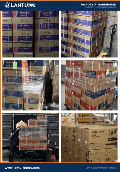 Hebei Lantu Technology Co., Ltd. linia produkcyjna fabryki